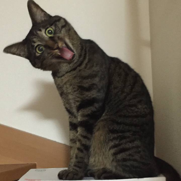 C19aa07c 06ca 4c46 a975 394a7fa3ac96