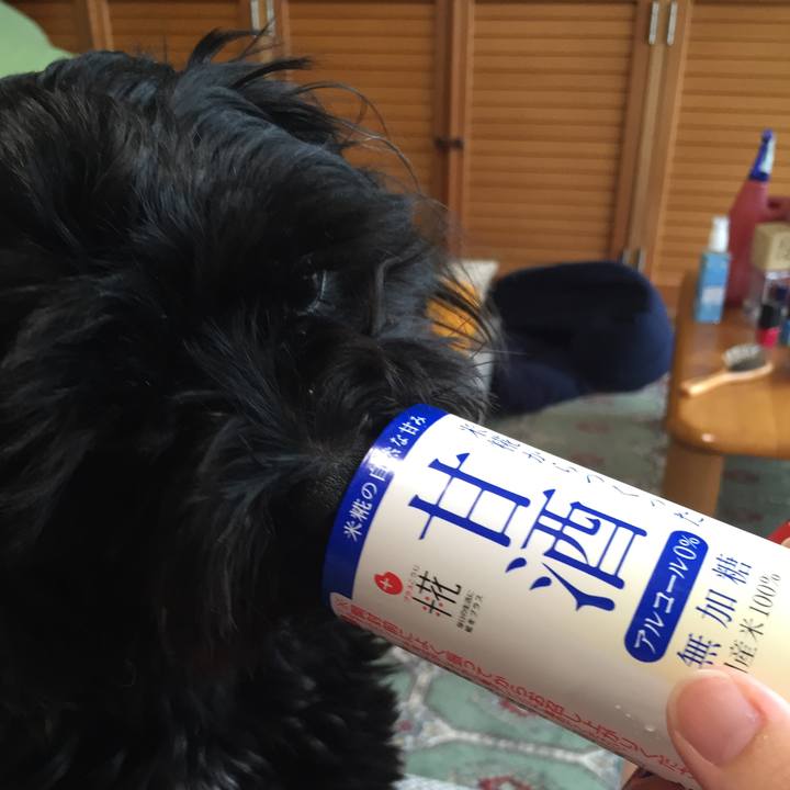 C19af8e8 e79c 452b b65d 221aa036ac8c