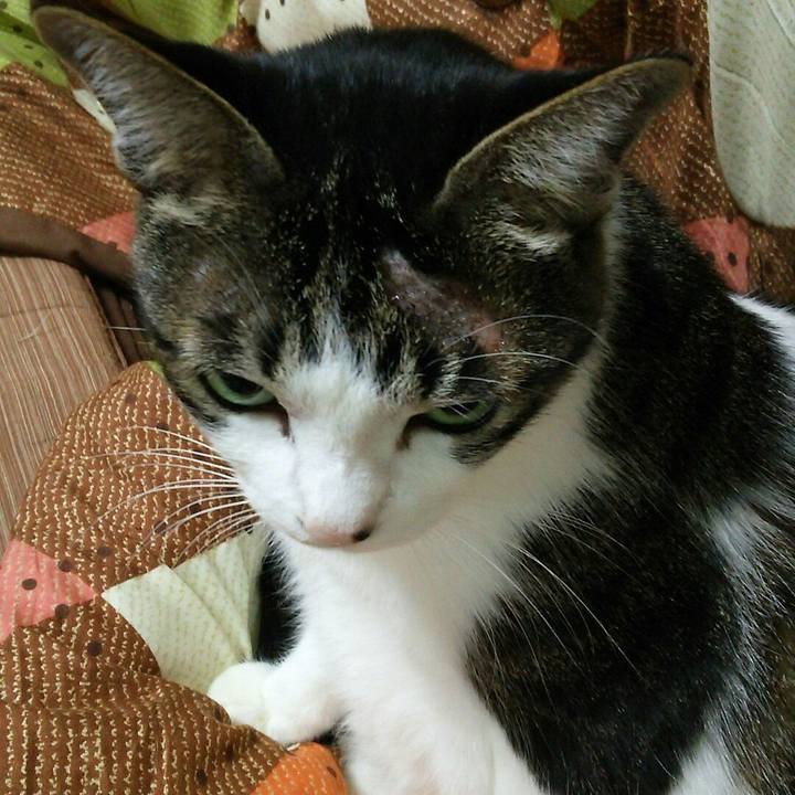 C19b57c9 4c51 4ab9 ac49 7597ae679ae0