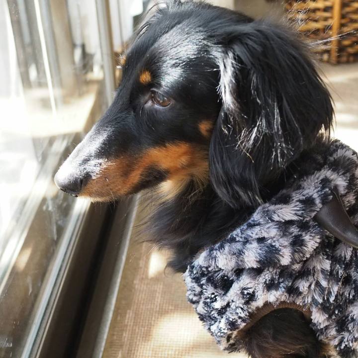 C19bbad8 ecba 4a0e b658 49bb6de44a86