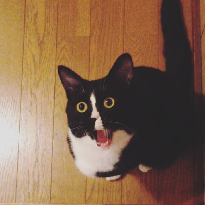 C19c2fea 1691 4f4c 8423 20057fff462f