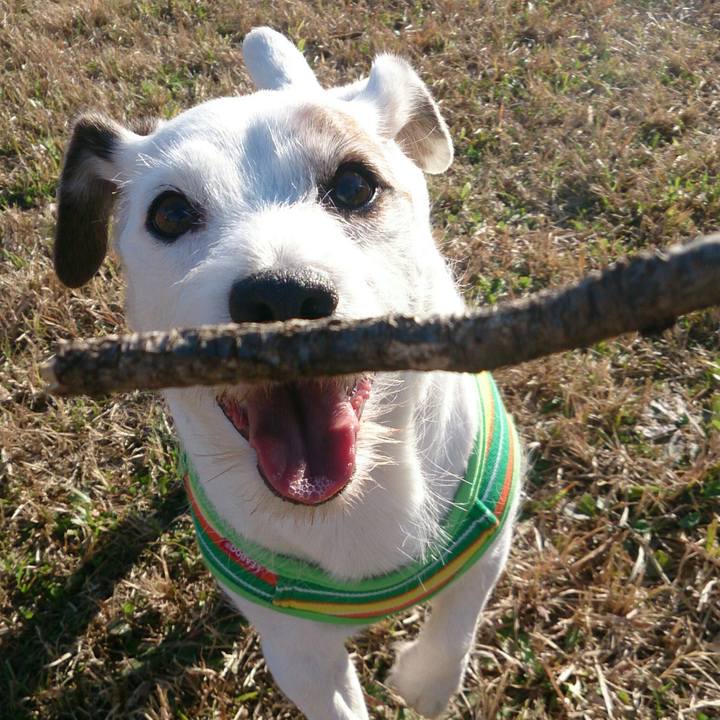 C19c4060 67a5 4c8d 9dfa 5a105082a772