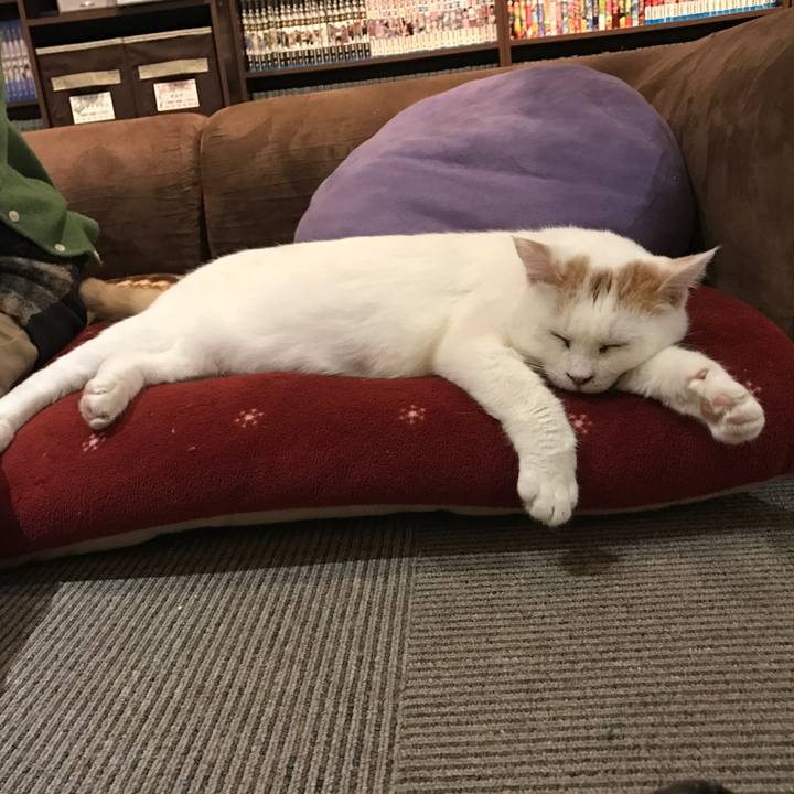 C19c4f8e 5fbd 4974 8367 4a58b8e79bbd