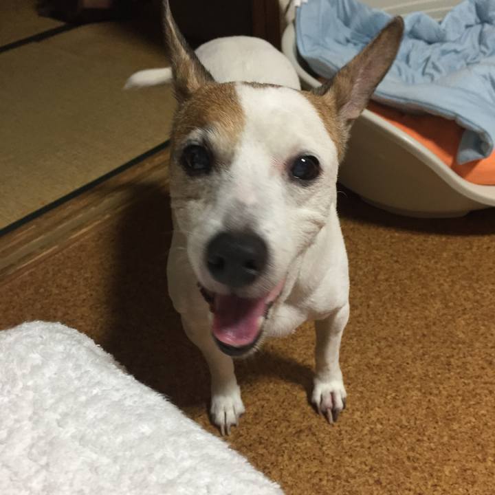 C19cce1f bbdf 4654 93e9 ca0bf338346c