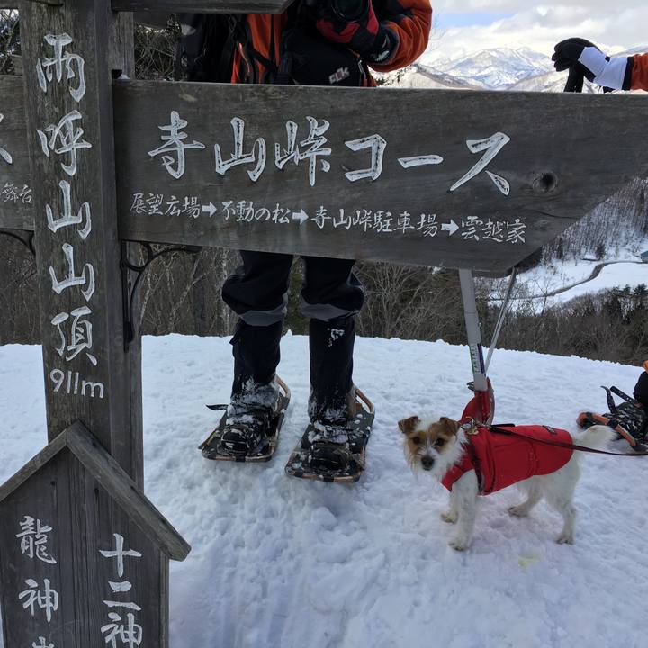 C19cfcb6 723f 440c 986b 4120ca77ed7b