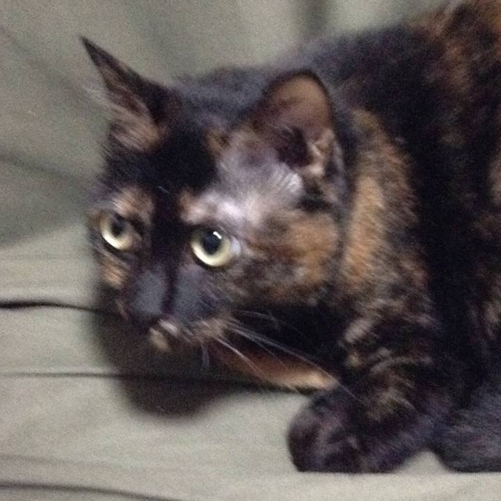 C19dabb3 a047 4612 a906 98a695812af4