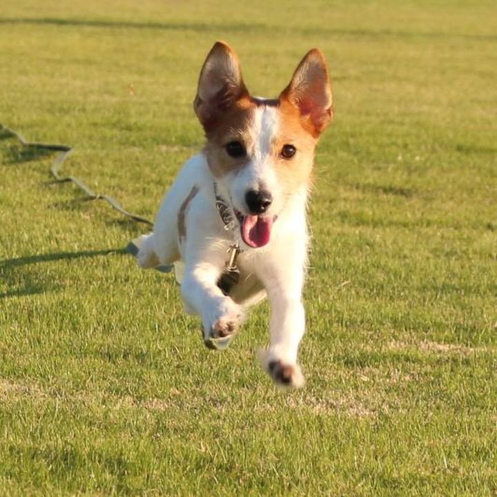 C19e1dcb e375 4b75 9b21 a92fdf5cf2f3