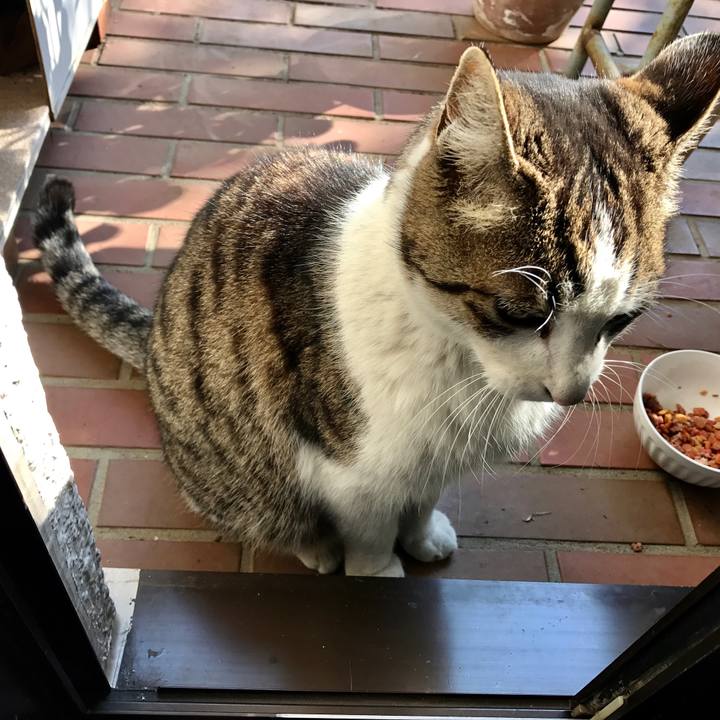 C19e27ff f3f9 4dc4 bc10 21e534faea04