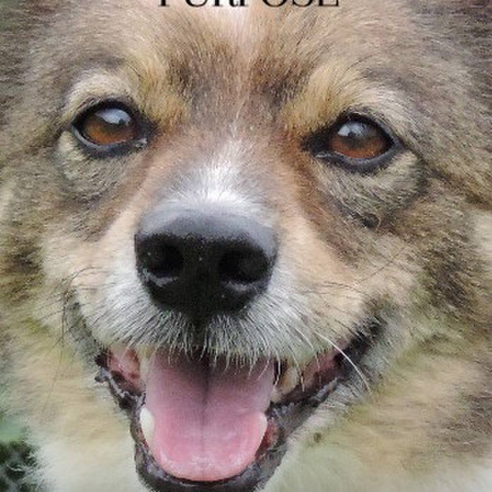 C19f9bed 2d1c 44b5 855e 5f5d6fea3ac0