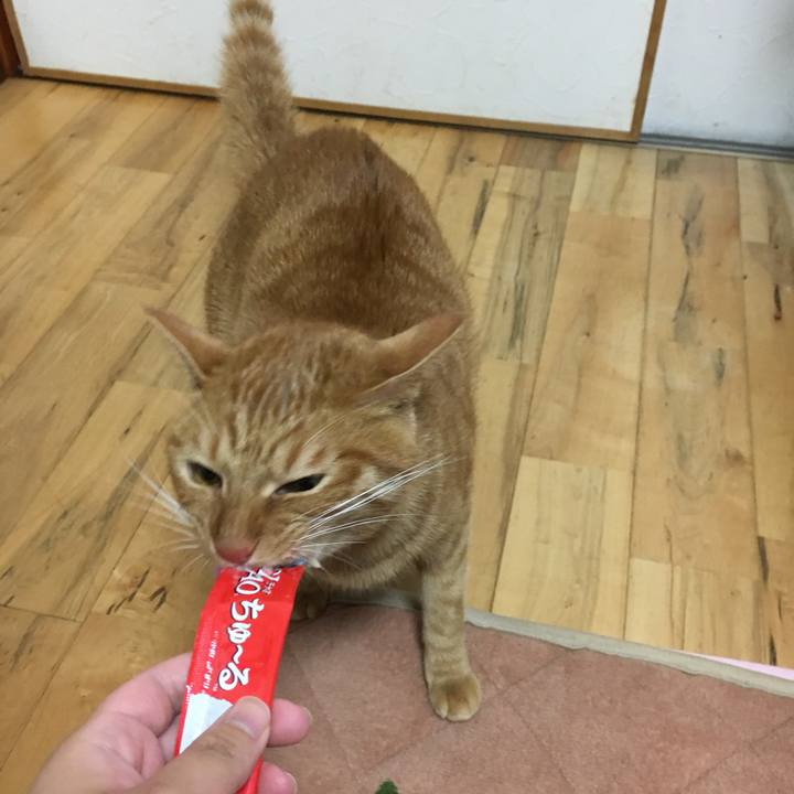 C19fb251 da24 40a1 a653 30144477a0c9