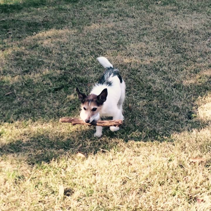 C19fee76 439f 4d41 90aa 1262991ec25e