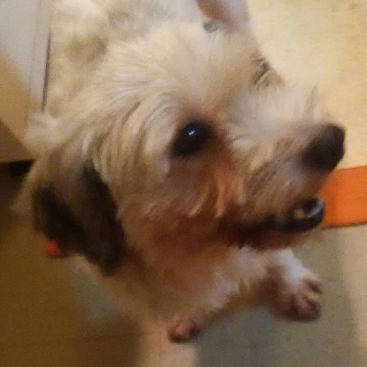 C1a0c500 2102 4ae8 9fd0 5fb22ad2833f