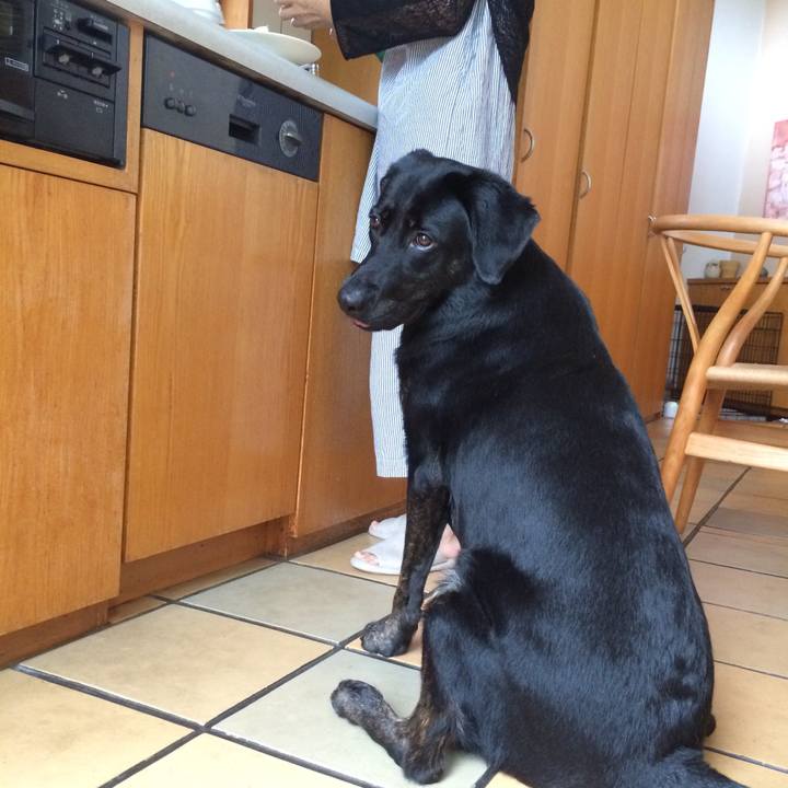 C1a0d62d 6395 4f18 9814 e0d1e9b659aa