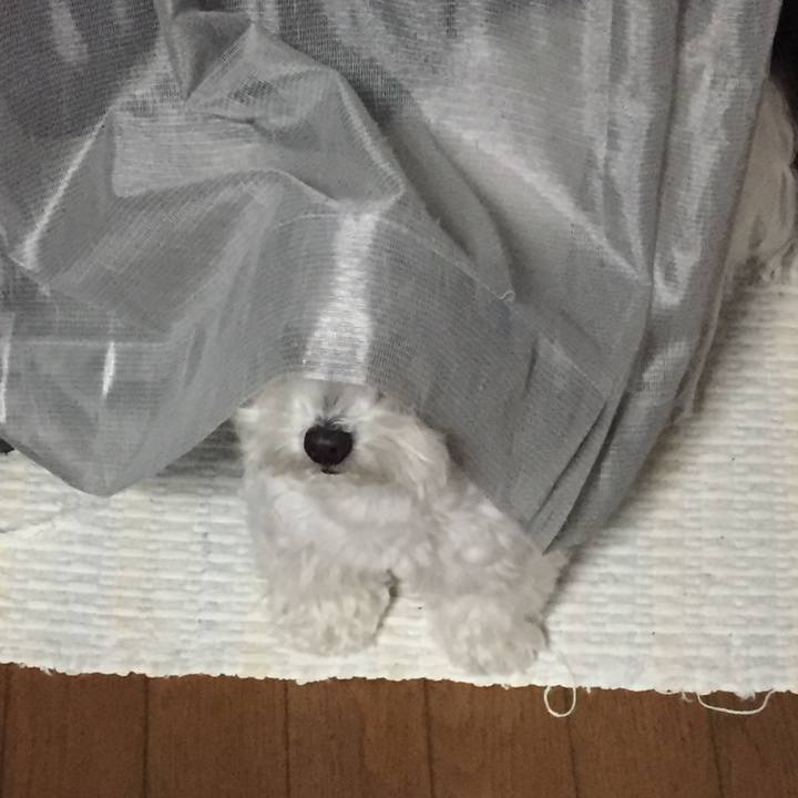 C1a13556 8a88 43ce 9af8 aaf2c5095600