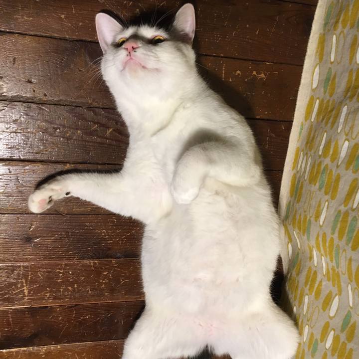 C1a183fe 3524 40b6 bbcd af66134e7dd1