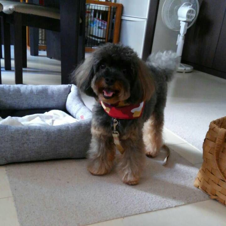 C1a2bbb7 b37d 4500 8855 bd71a6302010