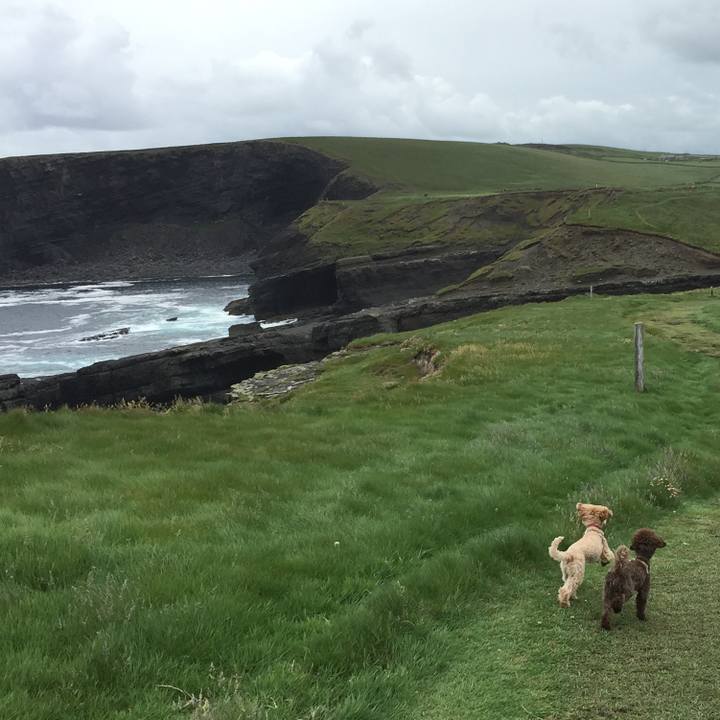 C1a2c44c eee6 4776 ae4b 1e8d6721a682