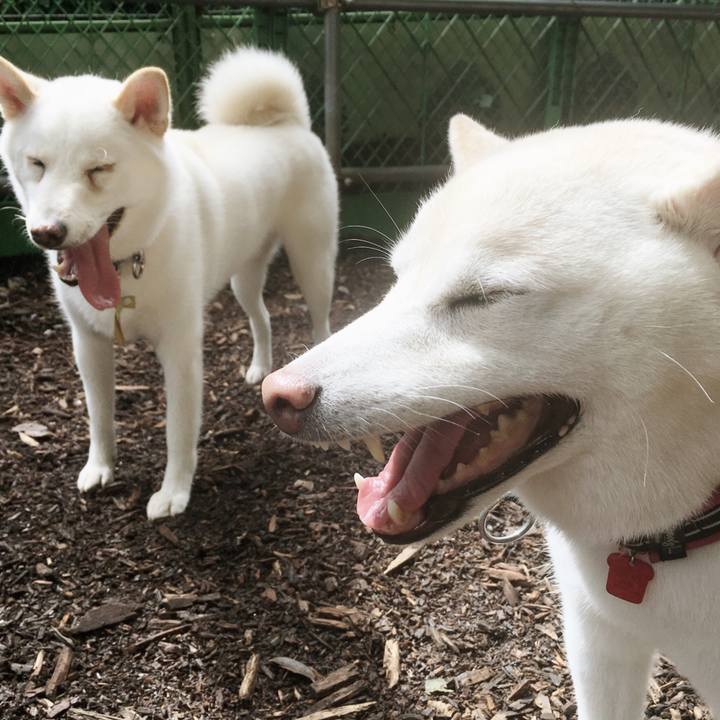 C1a3b00f 6054 4ec5 be76 1fc47e2db86c