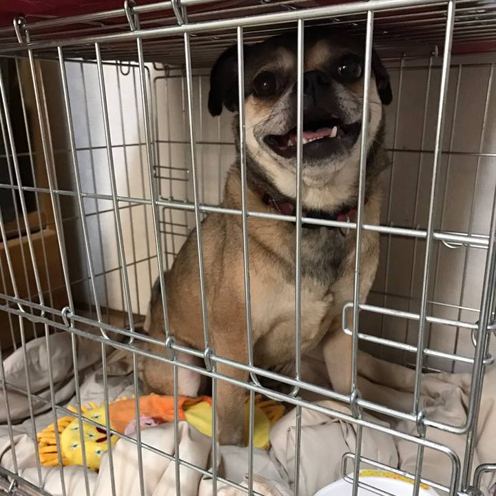 C1a3b5ab 7da3 4569 9fa8 f1ff40b44de6