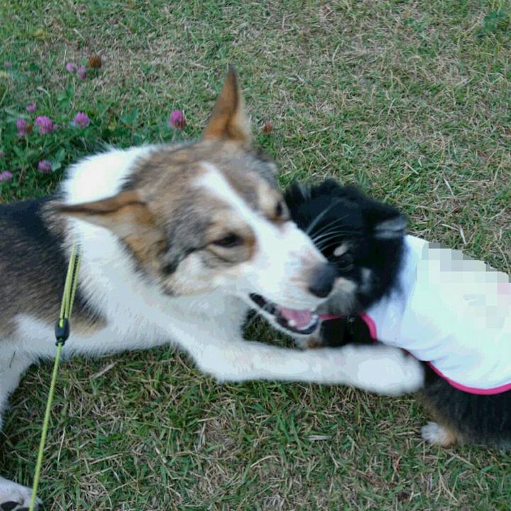 C1a41a20 ab73 44b6 809d 0ee2ffc17e64