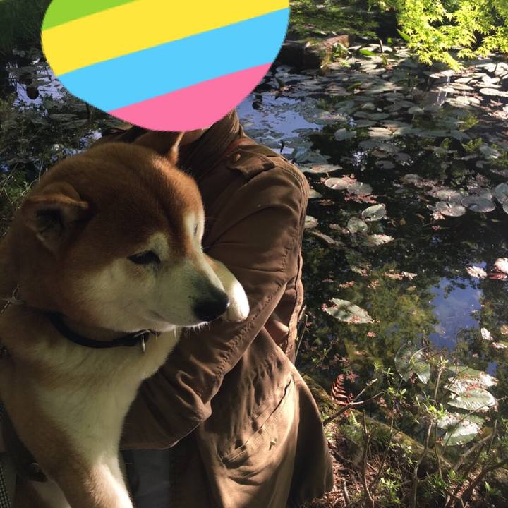 C1a4a1a5 702c 4724 bced 95e02825f414