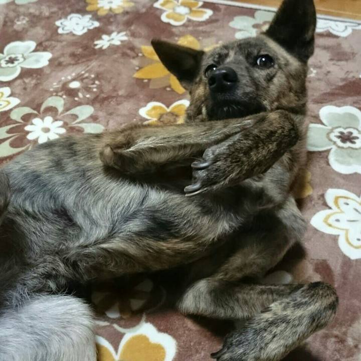 C1a4d55a 9c3a 4e53 9070 2b557a6f1e8b