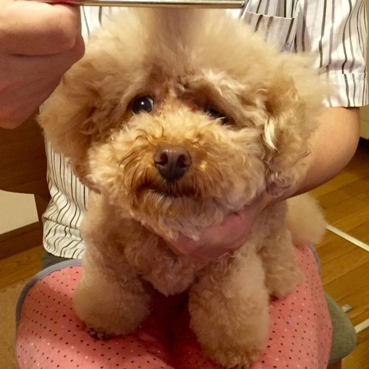 C1a4e80d 24be 49e1 8920 339f8a680c91