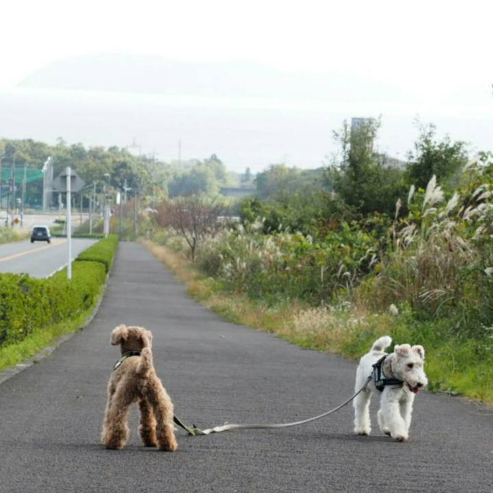 C1a57d16 9475 4e21 a11e 204647c3383f