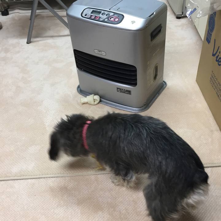 C1a593dc e372 49f9 8457 252ad5f1e2b9