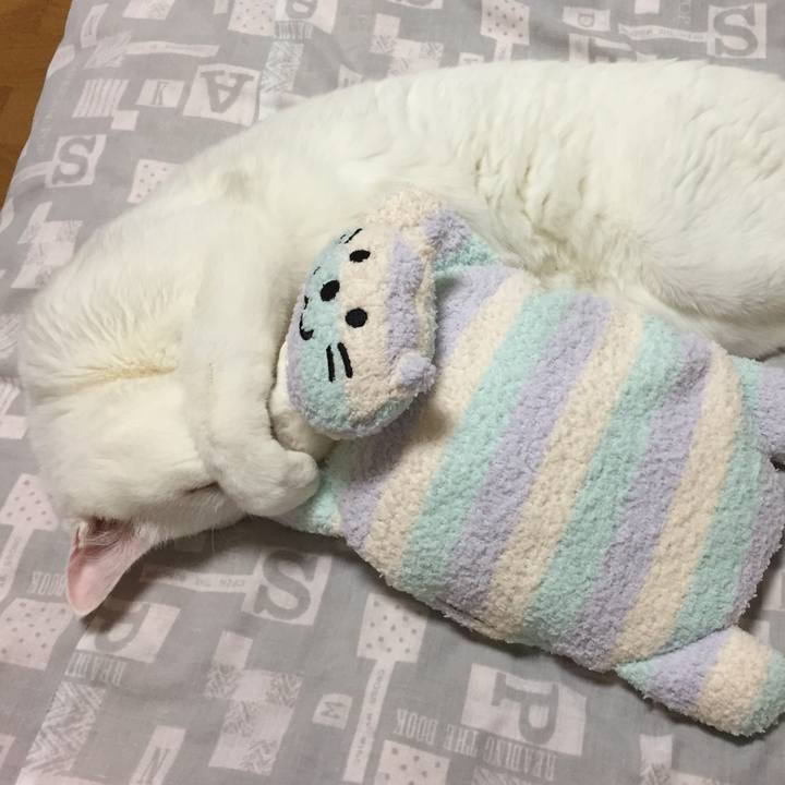 C1a5a467 52ad 408e 9a2f 07b6e8a08e2c