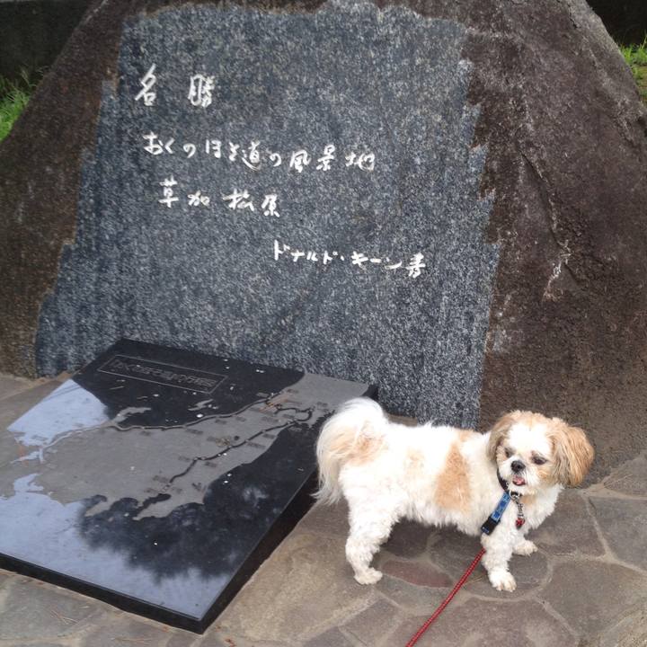 C1a5d74d adec 4a4e 92cd 9bc11eb85b5e