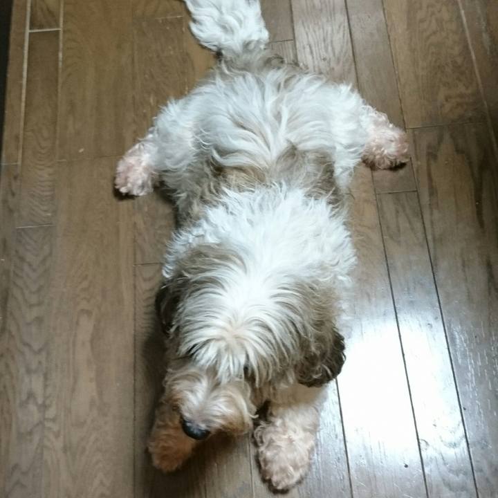 C1a64e7c 432d 4a37 aba9 684e42509cf3