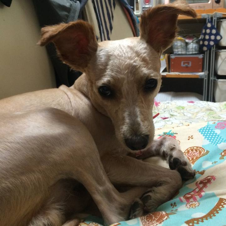 C1a73dfb d10d 46a0 a845 9caded458c63