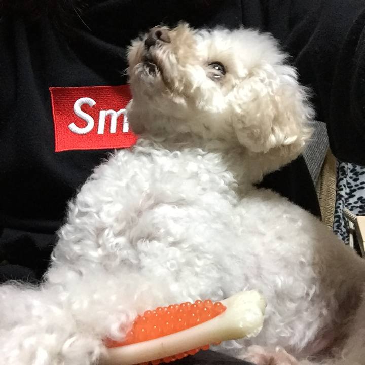 C1a76d26 54c0 429d a3c7 471902dff136