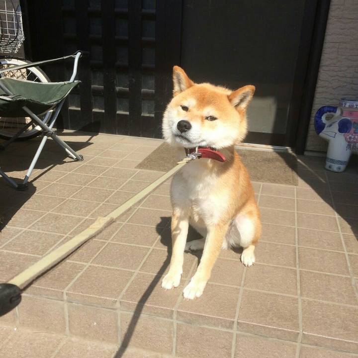 C1a8425a 336b 4556 beb4 c703464990e7