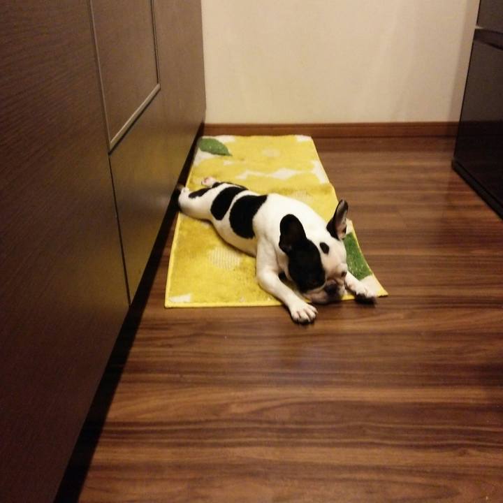 C1a8799d 395a 4d1c 8a7b 01b86e4e2ede