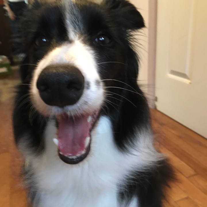 C1a936fe c53b 41c4 adbf 57f1e96e1f9d