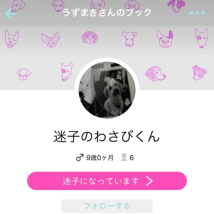 C1aa0367 56b4 454f a5ef 56982539c97f