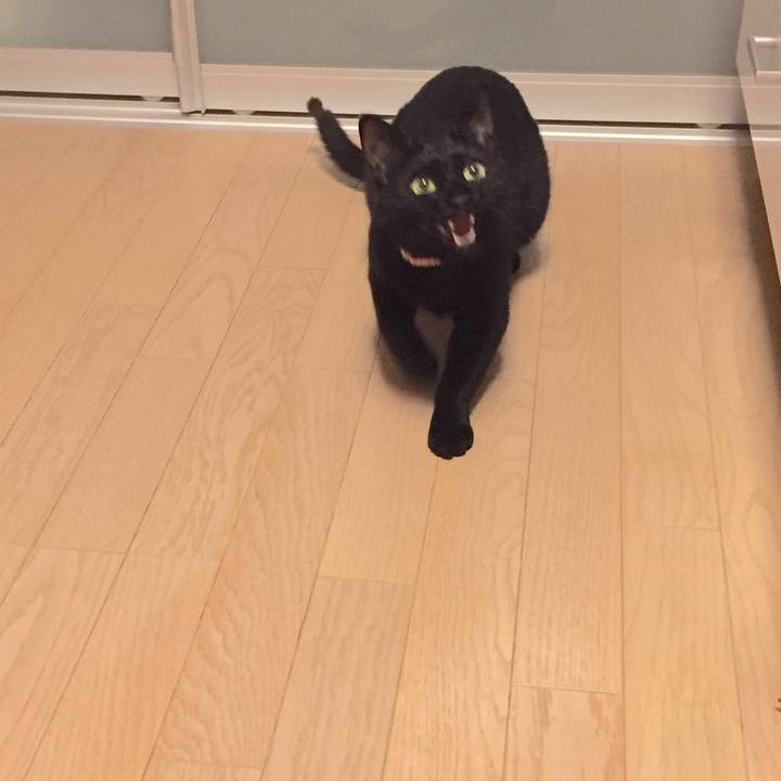 C1aa790a 1e6b 41da b037 40a8f0a38dbd