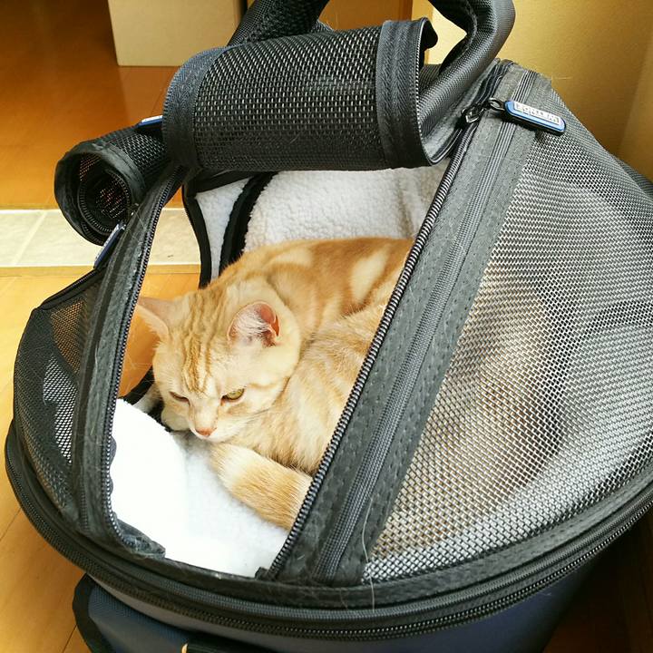 C1ab840d e1a4 4120 a4c0 e126a57e00a7