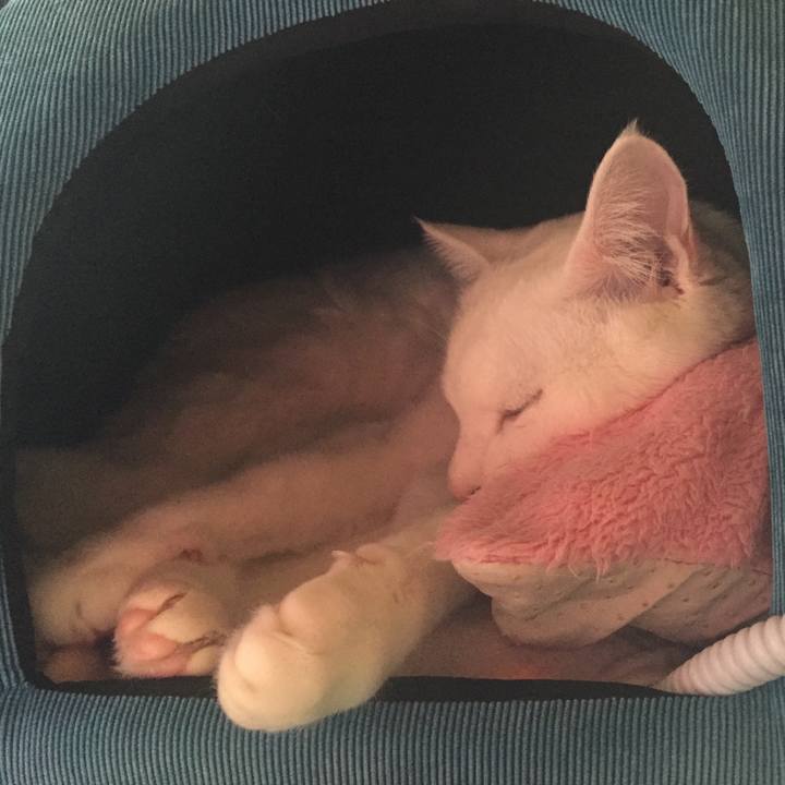 C1abc6bf e9d9 4f35 8bf2 dbf9529db5b8