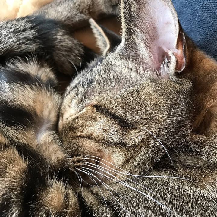 C1ac083f 5a8c 44bf 88c1 71db51cddd6e