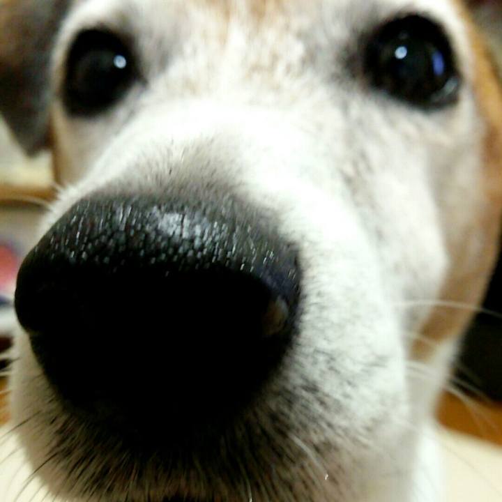 C1ac21a0 282c 4516 8a0c 25b1dce5c6c3