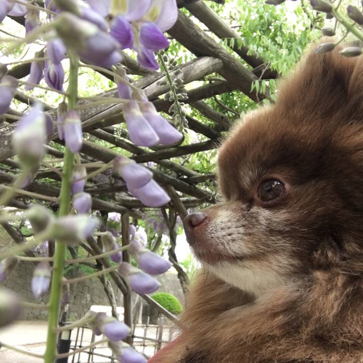 C1ac256f d435 469b ad0d 70f2191fbe98