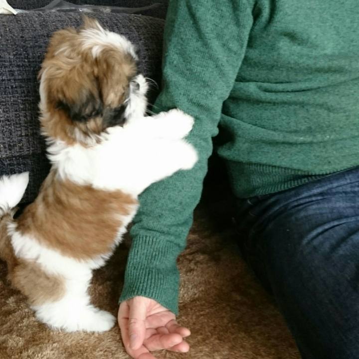 C1ac8d5a dc57 49e6 bbd2 0551e70fd5ff