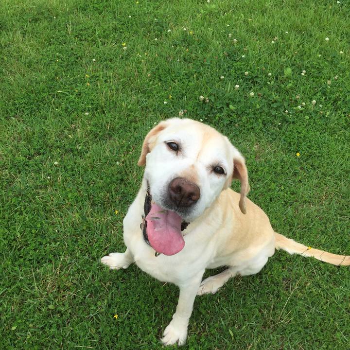 C1aceb8f d3b8 4eec 9be3 a69953c758a8