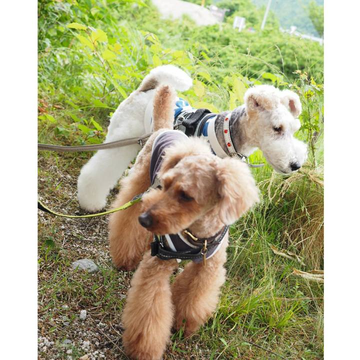 C1aeb08f 460e 4155 a077 7293b4c1d36f