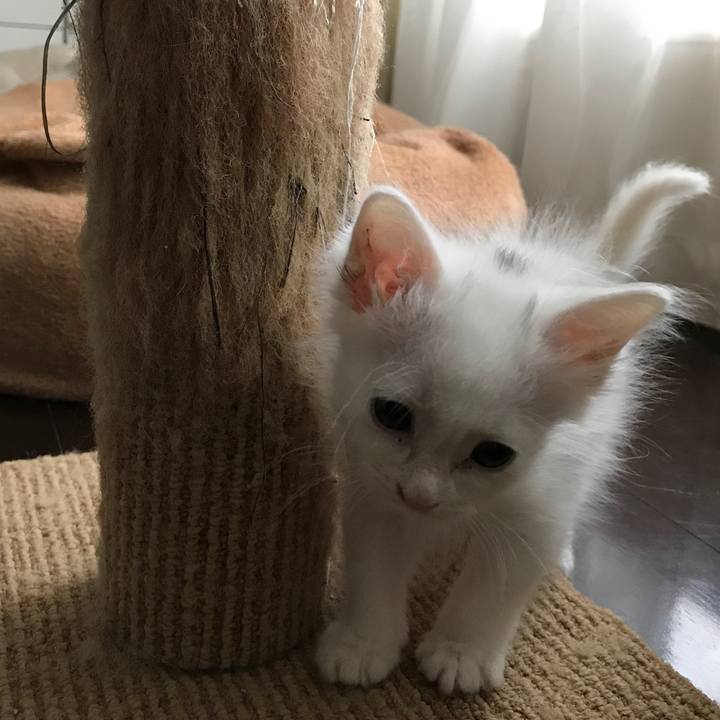 C1af46b6 e695 4be7 b97a c5a5d6cd2e4d