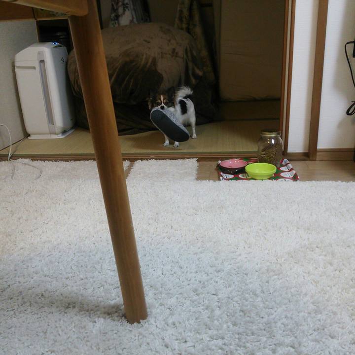 C1af85e8 9869 4e7a a772 8132140dce26