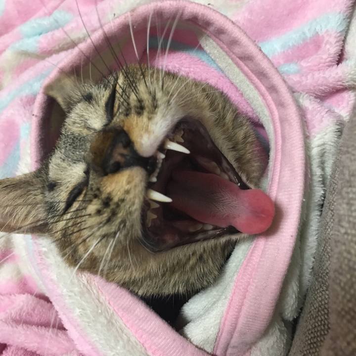 C1af98ce ca90 49e4 b089 cadbb07cb4b6